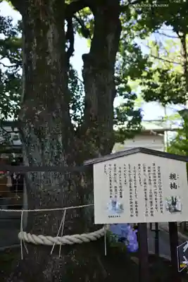 溝口神社(神奈川県)