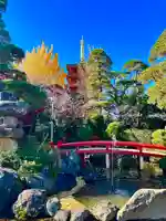 高幡不動尊 金剛寺(東京都)