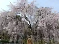 足羽神社(福井県)