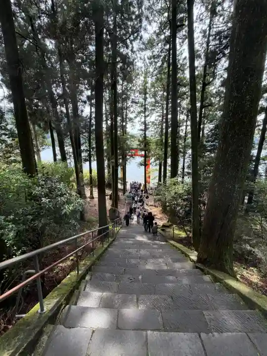 箱根神社の{uncategorized: "未分類", other: "その他", undefined: "問題あり", building: "その他建物", grave: "お墓", sacred_gate: "鳥居", guardian: "狛犬", statue: "像", buddha: "仏像", history: "歴史", nature: "自然", garden: "庭園", animal: "動物", pagoda: "塔", temizu: "手水舎", mountain_gate: "山門・神門", sanctuary: "本殿・本堂", subordinate: "末社・摂社", art: "芸術", scenery: "景色", jizo: "地蔵", ema: "絵馬", goshuin: "御朱印", omikuji: "おみくじ", items: "授与品その他", amulet: "お守り", goshuincho: "御朱印帳", eats: "食事", festival: "お祭り", votive_dance: "神楽", shichigosan: "七五三参", wedding: "結婚式", experience: "体験その他", initially: "初詣", around: "周辺", anti_infection: "感染症対策"}