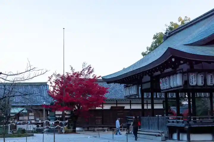 今宮神社(京都府)