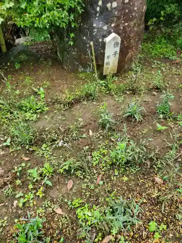 不動寺(埼玉県)