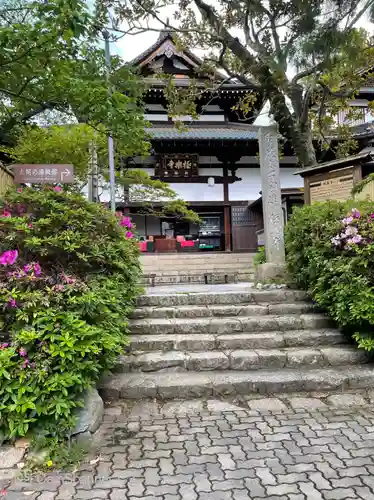 極楽寺の本殿・本堂