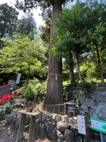 中氷川神社(埼玉県)