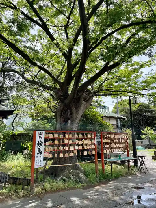 久里浜天神社(神奈川県)