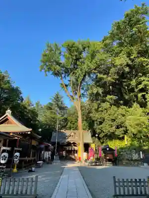 穴澤天神社のその他建物
