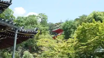 今熊野観音寺(京都府)