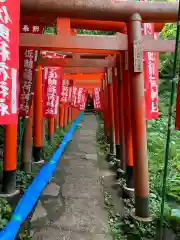 佐助稲荷神社の鳥居