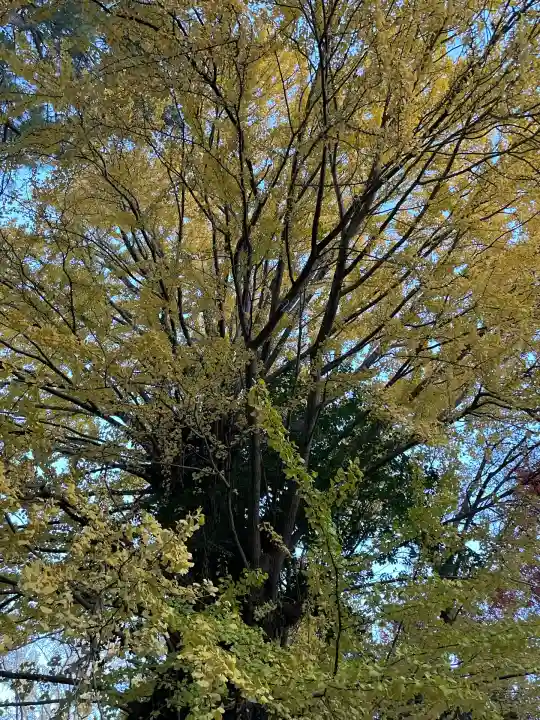 鞆江神社(明地)(愛知県)