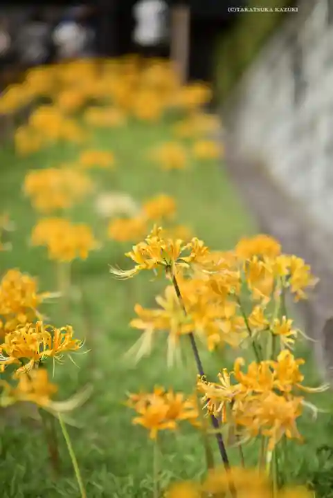横浜 西方寺(神奈川県)