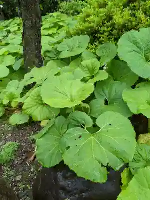 城南宮(京都府)