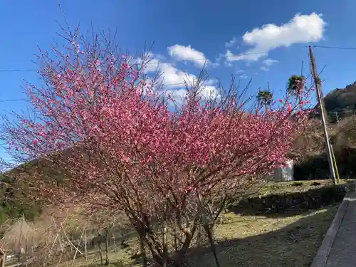 二之宮八幡神社(徳島県)