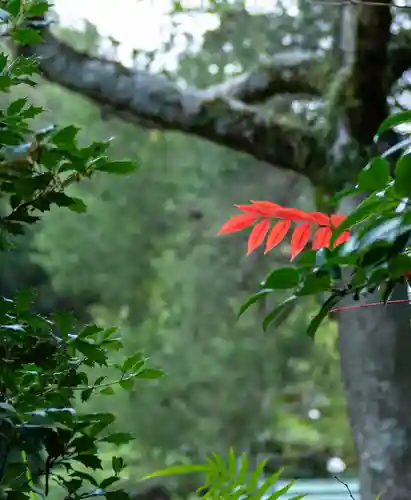 宮地嶽神社(福岡県)