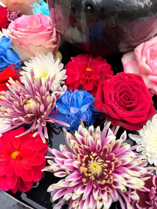 神楽坂安養寺(東京都)