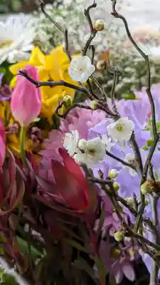 勝林寺(京都府)