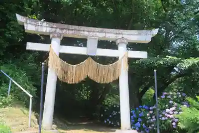 八幡神社の鳥居