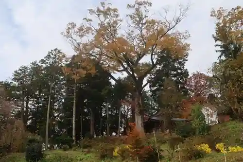 阿久津「田村神社」（郡山市阿久津町）旧社名：伊豆箱根三嶋三社の景色