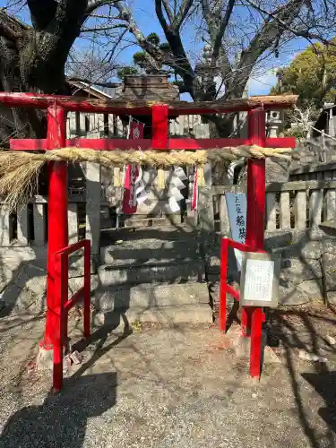 亀山八幡宮（久保八幡神社）の{uncategorized: "未分類", other: "その他", undefined: "問題あり", building: "その他建物", grave: "お墓", sacred_gate: "鳥居", guardian: "狛犬", statue: "像", buddha: "仏像", history: "歴史", nature: "自然", garden: "庭園", animal: "動物", pagoda: "塔", temizu: "手水舎", mountain_gate: "山門・神門", sanctuary: "本殿・本堂", subordinate: "末社・摂社", art: "芸術", scenery: "景色", jizo: "地蔵", ema: "絵馬", goshuin: "御朱印", omikuji: "おみくじ", items: "授与品その他", amulet: "お守り", goshuincho: "御朱印帳", eats: "食事", festival: "お祭り", votive_dance: "神楽", shichigosan: "七五三参", wedding: "結婚式", experience: "体験その他", initially: "初詣", around: "周辺", anti_infection: "感染症対策"}