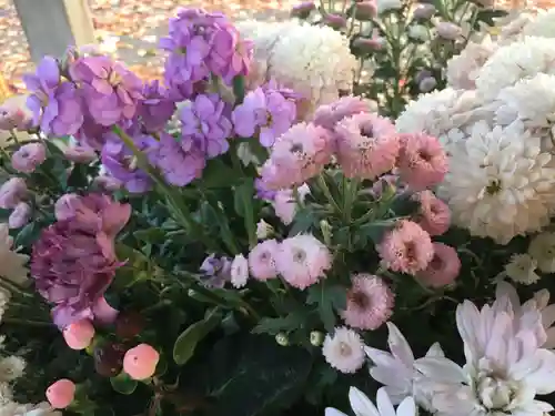 彌彦神社　(伊夜日子神社)の手水舎