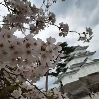 報徳二宮神社の周辺