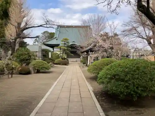 本興寺の{uncategorized: "未分類", other: "その他", undefined: "問題あり", building: "その他建物", grave: "お墓", sacred_gate: "鳥居", guardian: "狛犬", statue: "像", buddha: "仏像", history: "歴史", nature: "自然", garden: "庭園", animal: "動物", pagoda: "塔", temizu: "手水舎", mountain_gate: "山門・神門", sanctuary: "本殿・本堂", subordinate: "末社・摂社", art: "芸術", scenery: "景色", jizo: "地蔵", ema: "絵馬", goshuin: "御朱印", omikuji: "おみくじ", items: "授与品その他", amulet: "お守り", goshuincho: "御朱印帳", eats: "食事", festival: "お祭り", votive_dance: "神楽", shichigosan: "七五三参", wedding: "結婚式", experience: "体験その他", initially: "初詣", around: "周辺", anti_infection: "感染症対策"}