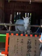 賀茂別雷神社（上賀茂神社）(京都府)