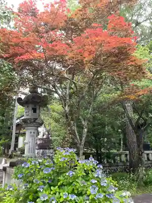 山梨縣護國神社(山梨県)