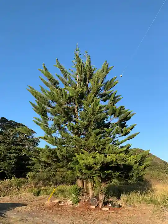 常應寺(千葉県)