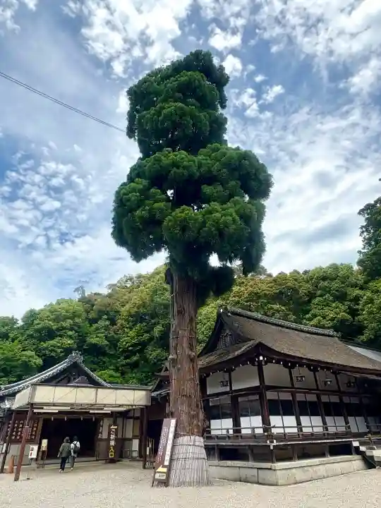 大神神社の{uncategorized: "未分類", other: "その他", undefined: "問題あり", building: "その他建物", grave: "お墓", sacred_gate: "鳥居", guardian: "狛犬", statue: "像", buddha: "仏像", history: "歴史", nature: "自然", garden: "庭園", animal: "動物", pagoda: "塔", temizu: "手水舎", mountain_gate: "山門・神門", sanctuary: "本殿・本堂", subordinate: "末社・摂社", art: "芸術", scenery: "景色", jizo: "地蔵", ema: "絵馬", goshuin: "御朱印", omikuji: "おみくじ", items: "授与品その他", amulet: "お守り", goshuincho: "御朱印帳", eats: "食事", festival: "お祭り", votive_dance: "神楽", shichigosan: "七五三参", wedding: "結婚式", experience: "体験その他", initially: "初詣", around: "周辺", anti_infection: "感染症対策"}