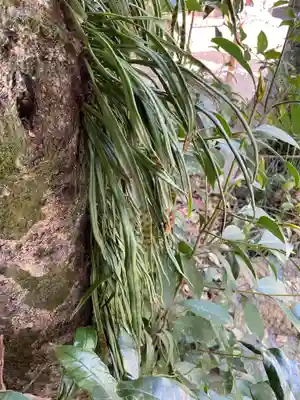 新羅神社の庭園