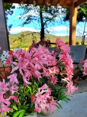 高司神社〜むすびの神の鎮まる社〜(福島県)