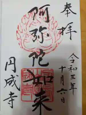 阿弥陀如来の御朱印頂きました