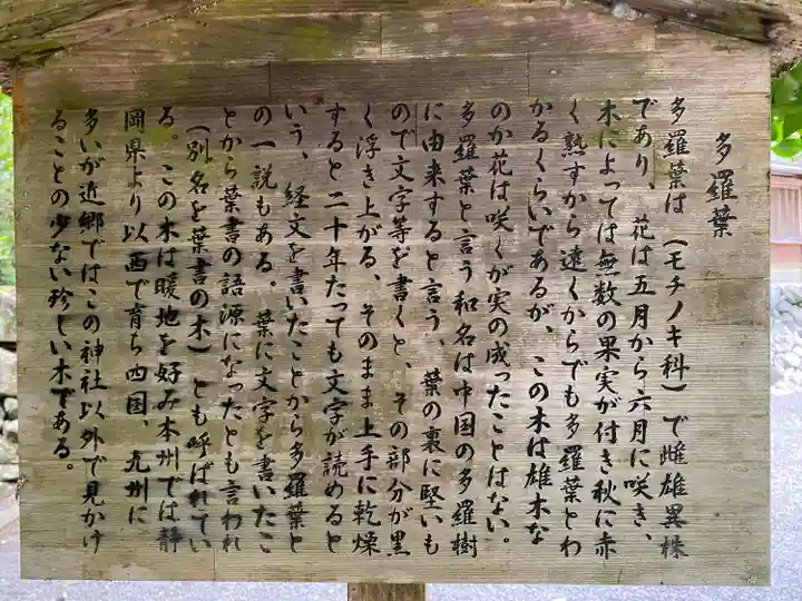 丹生川上神社(下社)(奈良県)