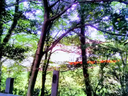 大宝八幡宮の自然