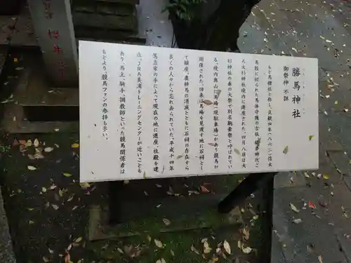 大杉神社の歴史