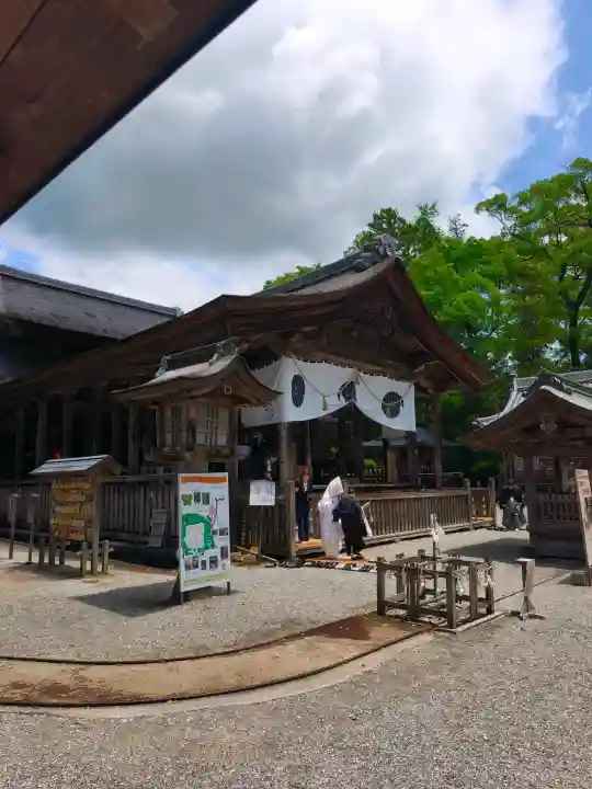 土佐神社の{uncategorized: "未分類", other: "その他", undefined: "問題あり", building: "その他建物", grave: "お墓", sacred_gate: "鳥居", guardian: "狛犬", statue: "像", buddha: "仏像", history: "歴史", nature: "自然", garden: "庭園", animal: "動物", pagoda: "塔", temizu: "手水舎", mountain_gate: "山門・神門", sanctuary: "本殿・本堂", subordinate: "末社・摂社", art: "芸術", scenery: "景色", jizo: "地蔵", ema: "絵馬", goshuin: "御朱印", omikuji: "おみくじ", items: "授与品その他", amulet: "お守り", goshuincho: "御朱印帳", eats: "食事", festival: "お祭り", votive_dance: "神楽", shichigosan: "七五三参", wedding: "結婚式", experience: "体験その他", initially: "初詣", around: "周辺", anti_infection: "感染症対策"}