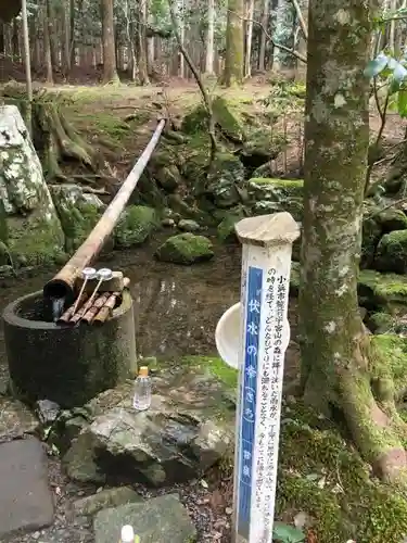 若狭彦神社（上社）の手水