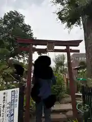 白山神社(東京都)