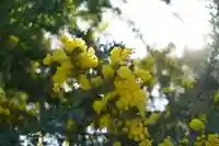 常信寺(三重県)