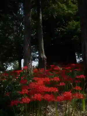 駒形神社の自然