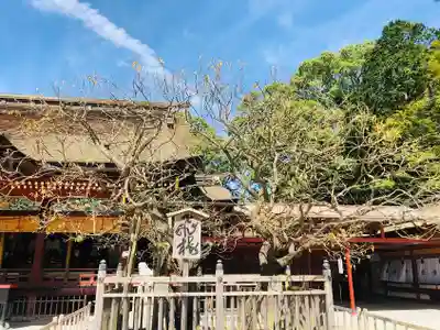 太宰府天満宮のその他建物