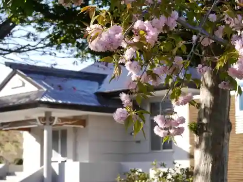 極楽山　浄土寺の自然