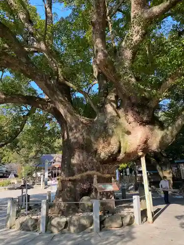 大麻比古神社(徳島県)