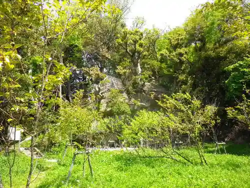 浄光明寺の自然