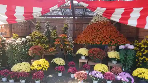 一言主神社の庭園