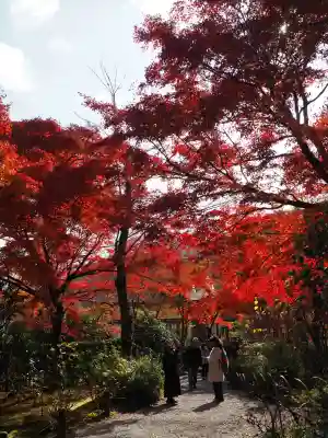 天龍寺(京都府)
