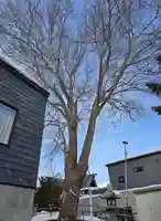 龍宮神社(北海道)