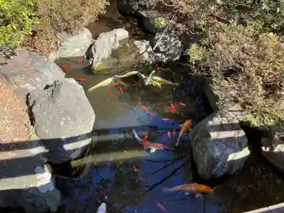 千葉神社(千葉県)