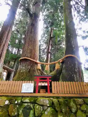 室生龍穴神社の末社・摂社