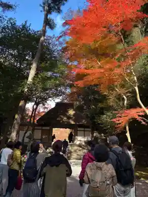 法然院(京都府)